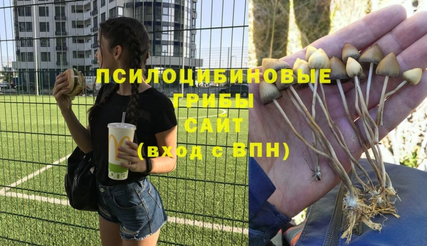 стафф Медвежьегорск