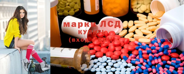 стафф Медвежьегорск
