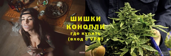 стафф Медвежьегорск